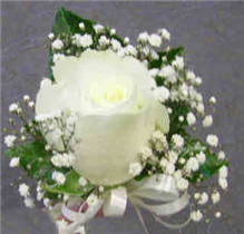 Cream Rose Buttonhole